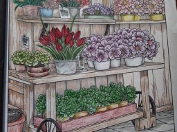 whatsapp bild 2025-01-09 um 12.47.13_3da79069